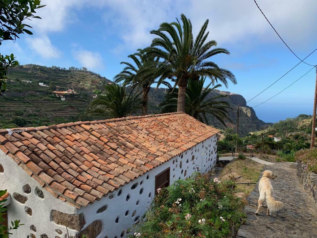 Casa Rural Emilia Villa Agulo Luaran gambar